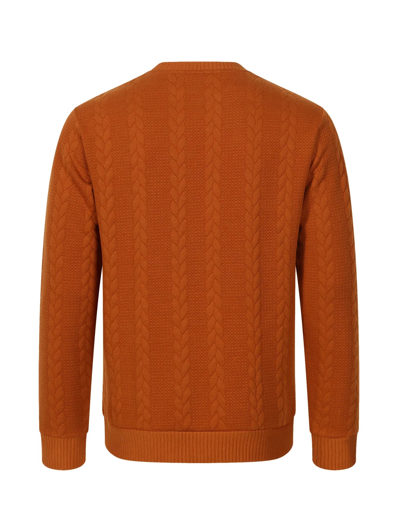 Autumn men's new round neck jacquard checkered high-end boutique fashion long sleeved polo shirt casual solid color warm T-shirt