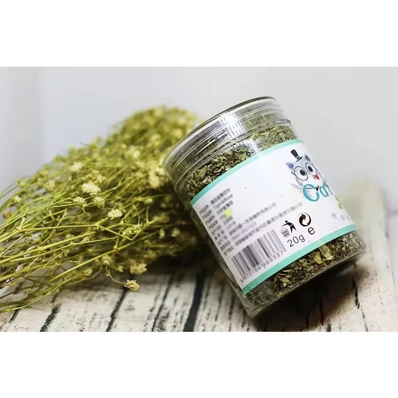 Organic 100% Natural High Quality Catnip Cattle Grass Mint Taste Funny Cat Toy New Cat Toy Interactive Cat Toys Pet Supplies